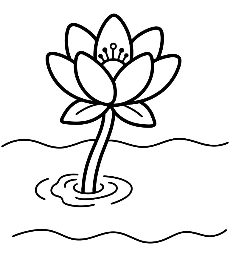 Zeichne Seerose kostenlos druckbare