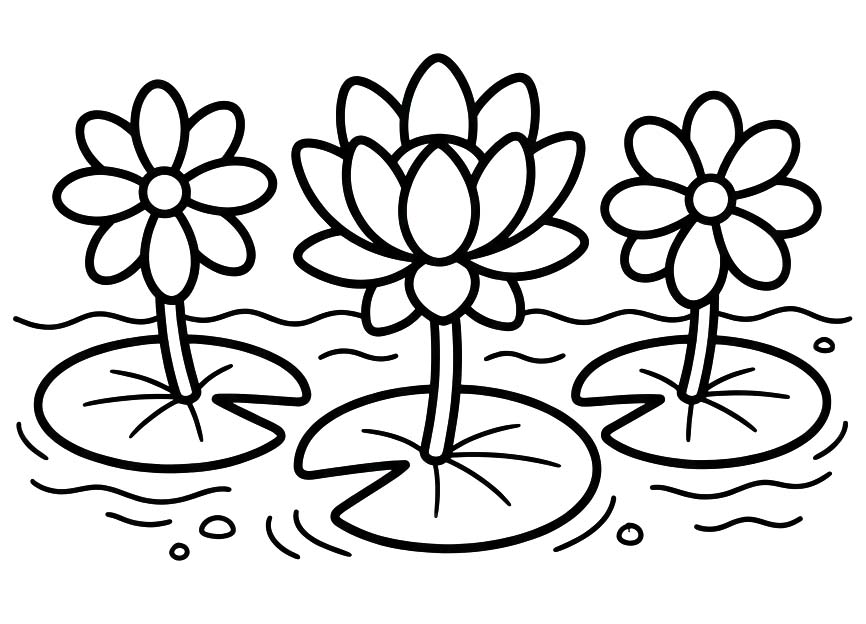Zeichne Seerose kostenlos schlicht