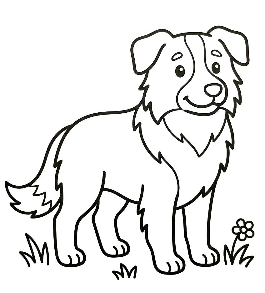 Border Collie druckbare schlicht