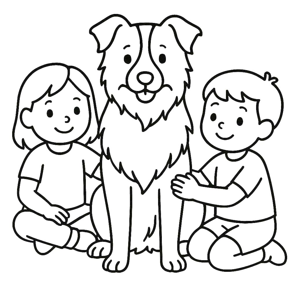 Border Collie kostenlos für Kinder