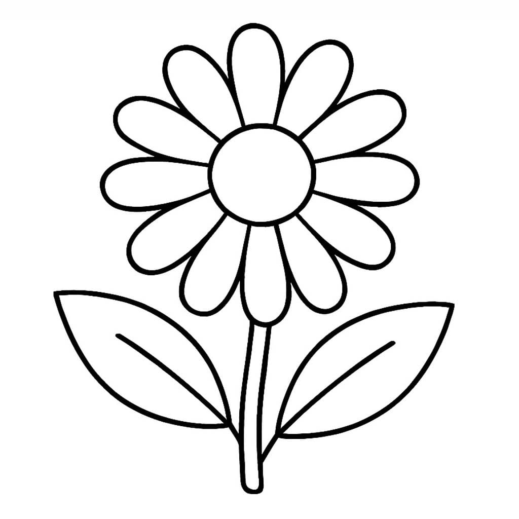 Dahlie druckbare basisch coloring page