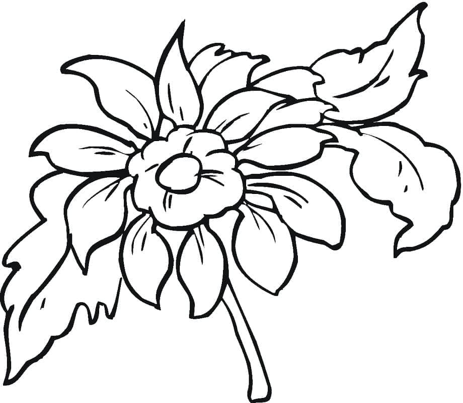 Dahlie kostenlos druckbare einfach coloring page