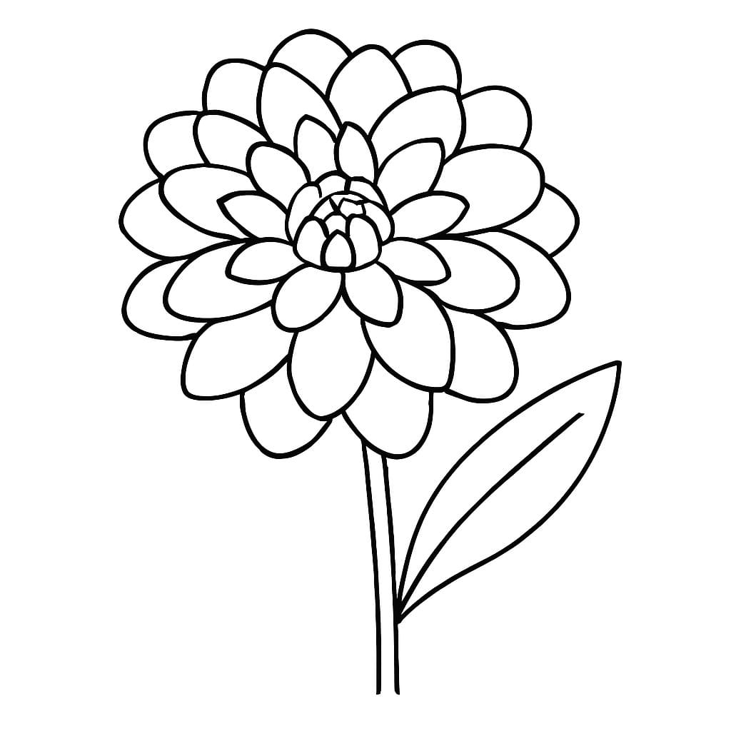 Dahlie kostenlos schlicht coloring page