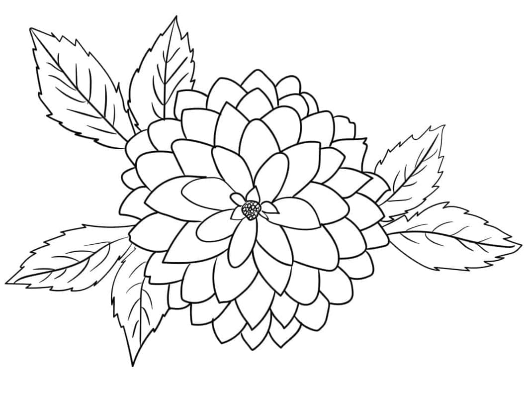 Dahlie zum Ausdrucken coloring page