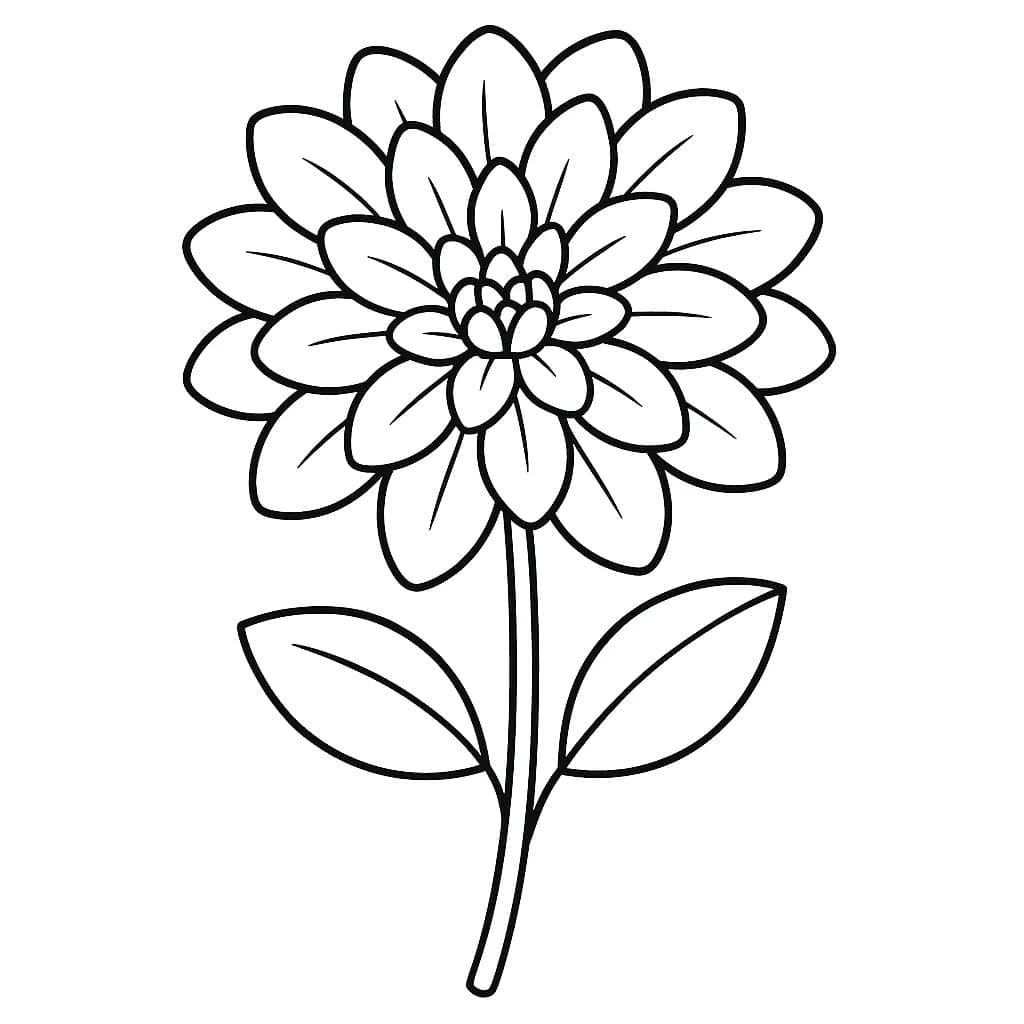 Kostenlos druckbare Dahlie coloring page