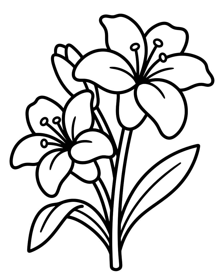 Kostenlos druckbare Lilien