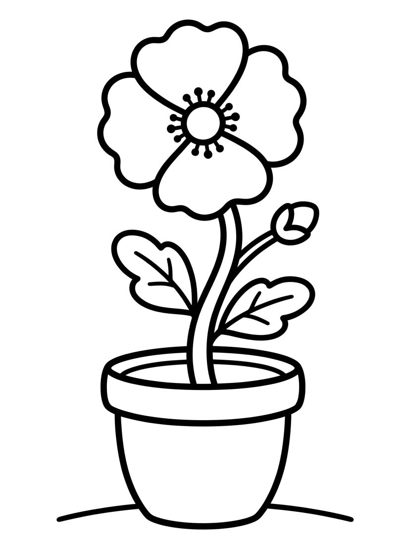 Kostenlos druckbare Mohnblumen