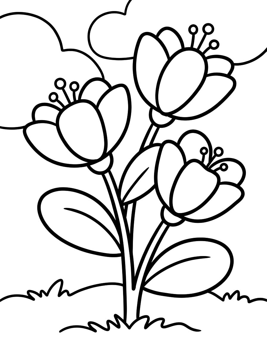 Kostenlos Lilien