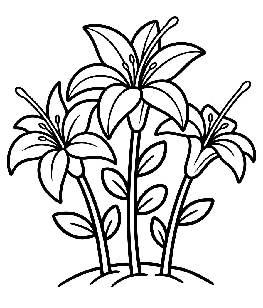 Lilien druckbare