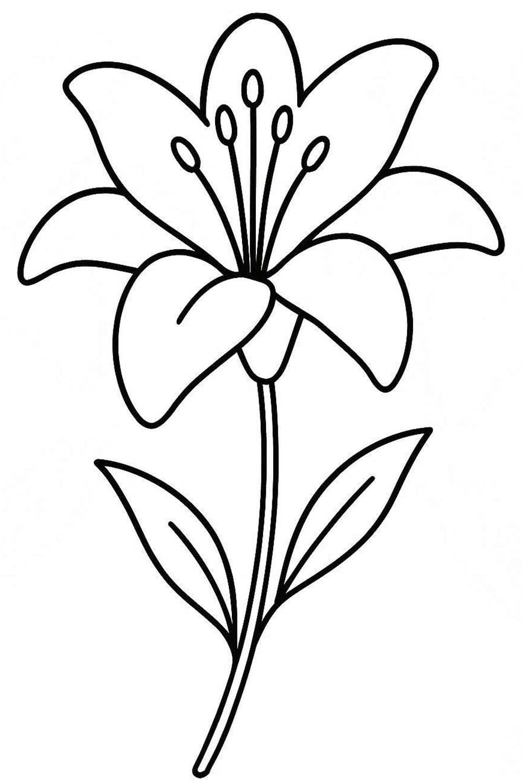 Lilien druckbare basisch