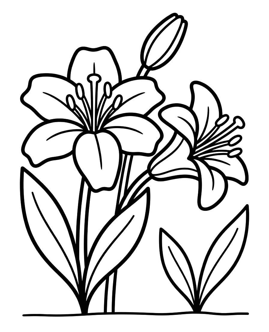Lilien kostenlos