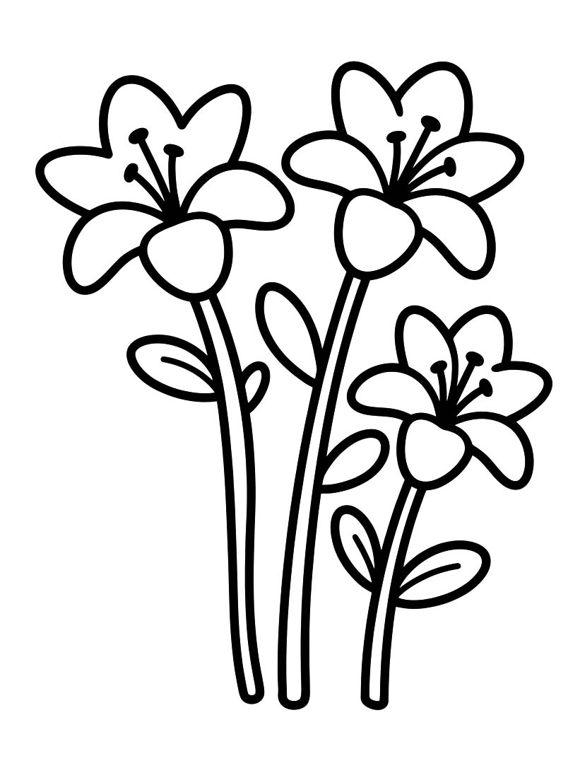 Lilien kostenlos druckbare