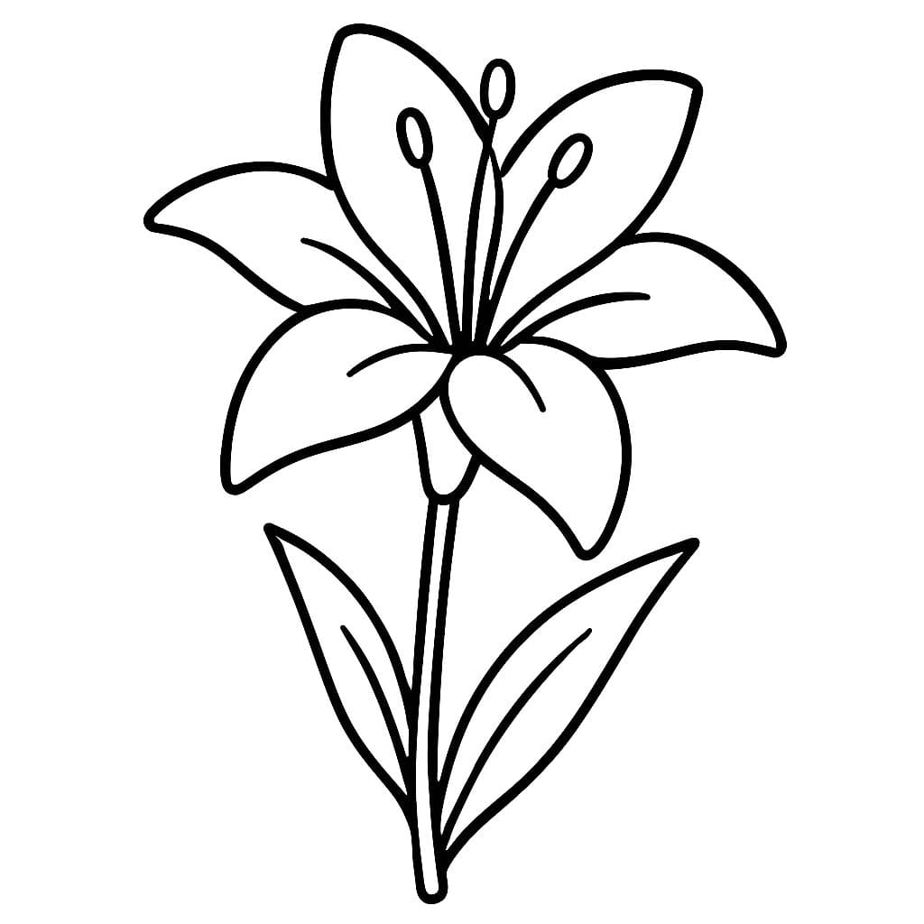 Lilien kostenlos schlicht