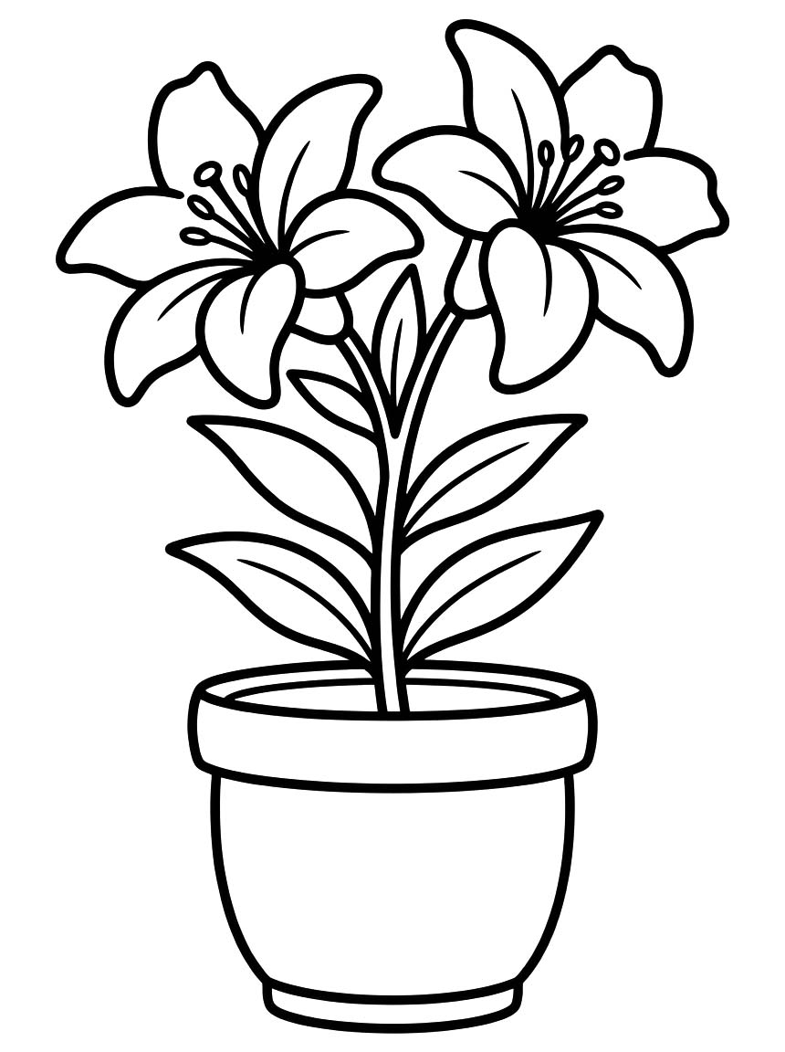 Lilien zum Ausdrucken