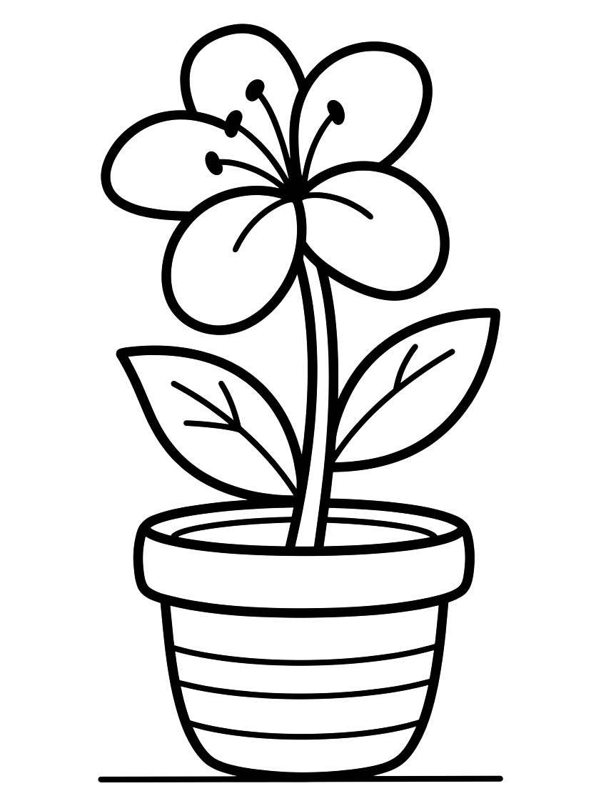 Lilien zum Ausdrucken für Kinder