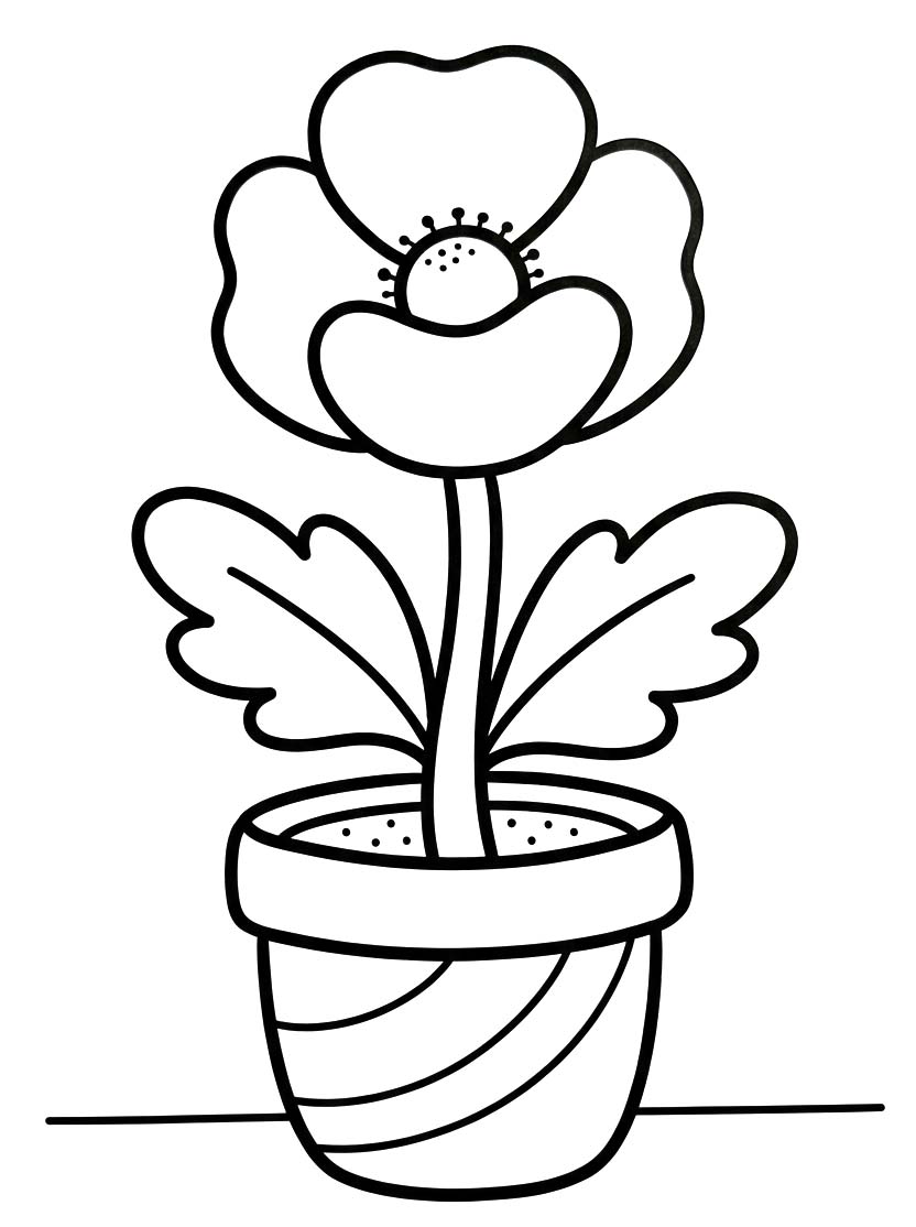 Mohnblumen druckbare