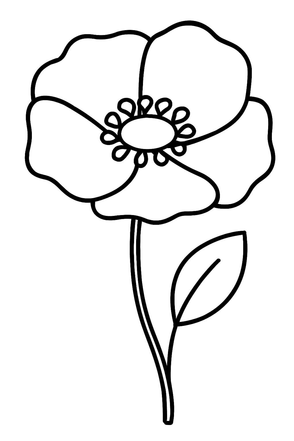 Mohnblumen druckbare einfach