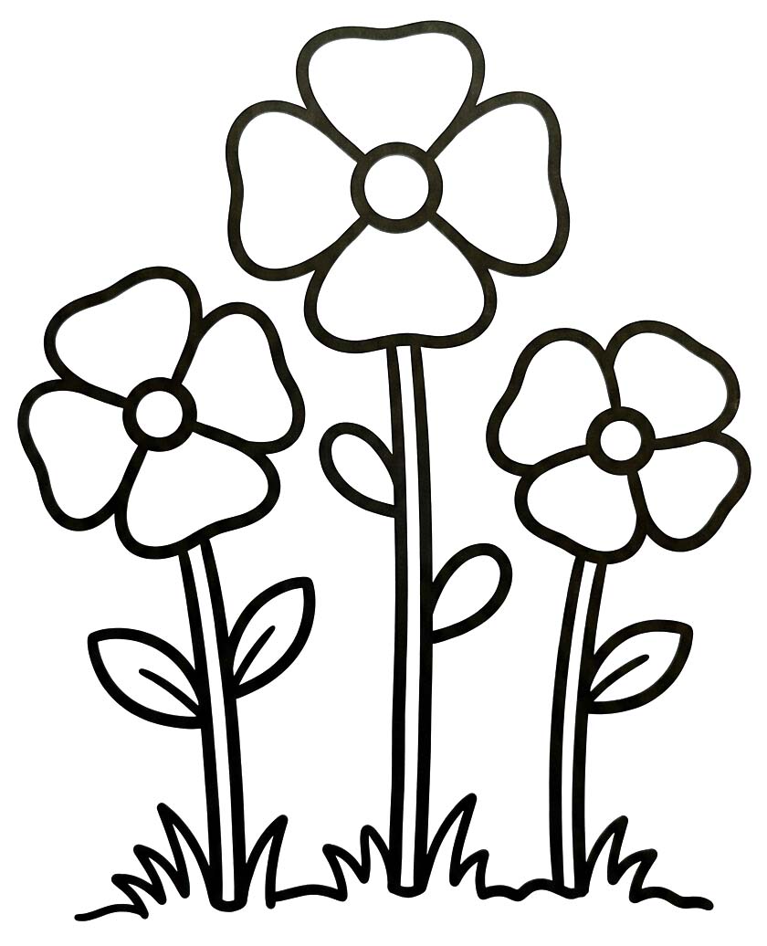 Mohnblumen für Kinder