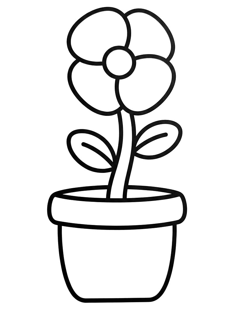 Mohnblumen kostenlos