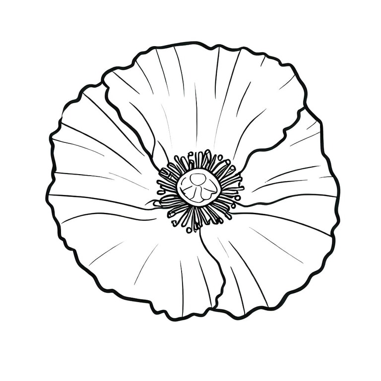 Mohnblumen kostenlos druckbare einfach