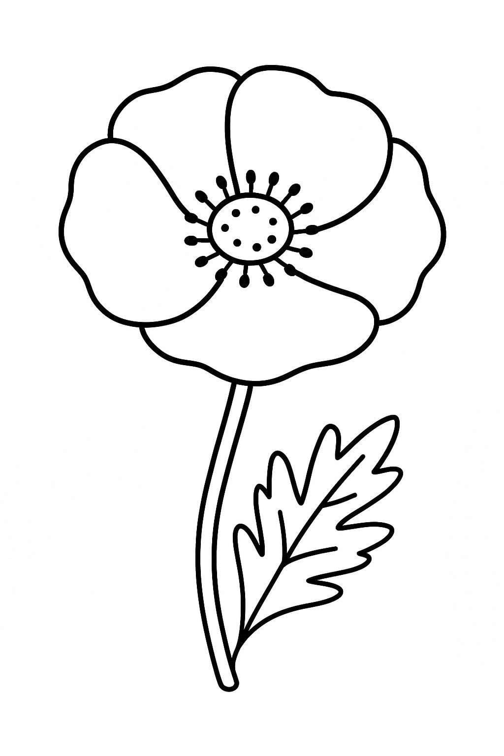 Mohnblumen kostenlos einfach