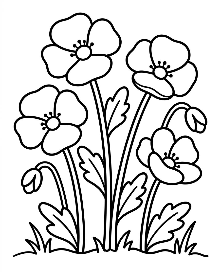 Mohnblumen kostenlos für Kinder