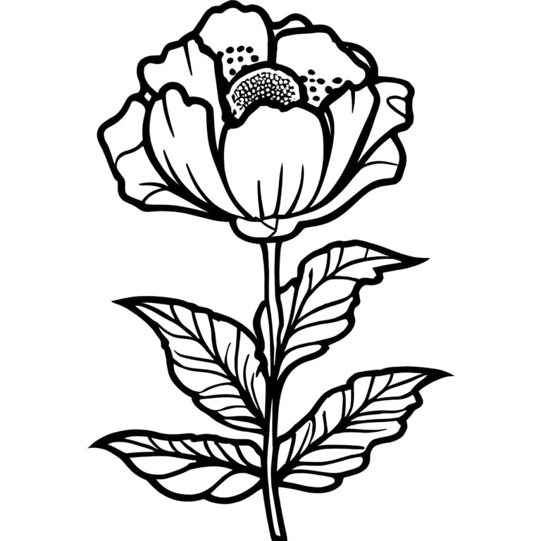 Mohnblumen zum Ausdrucken für Kinder