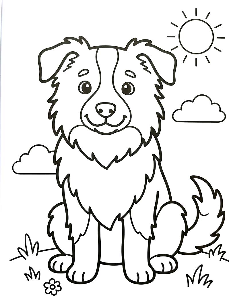 Zeichne Border Collie