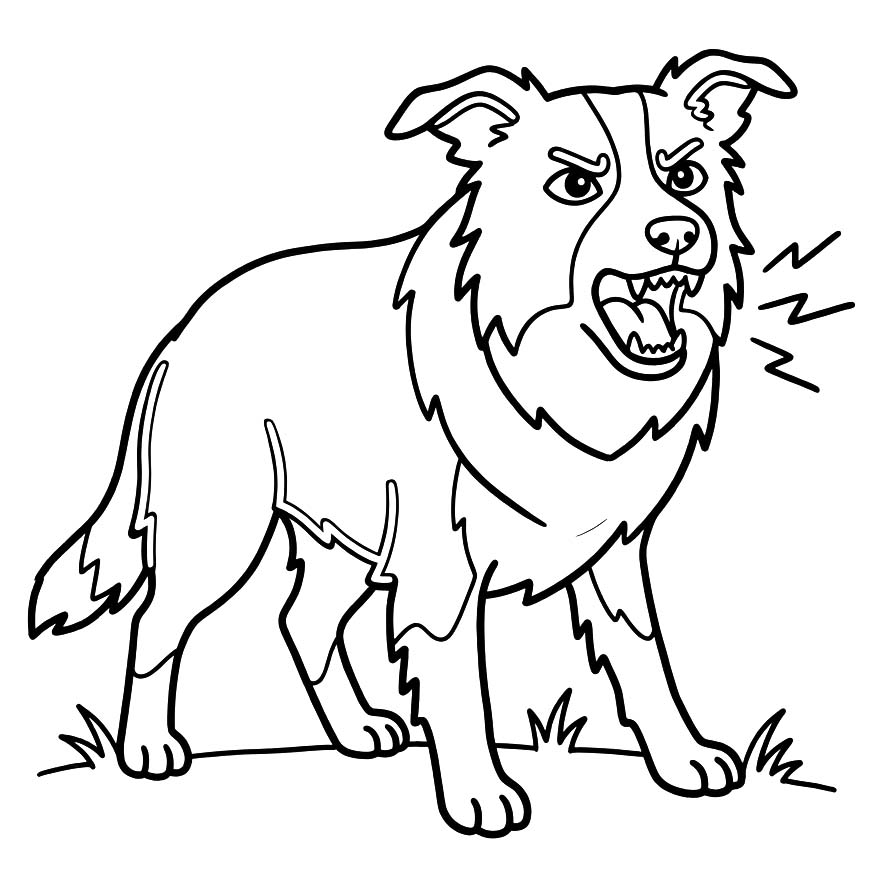 Zeichne Border Collie druckbare einfach