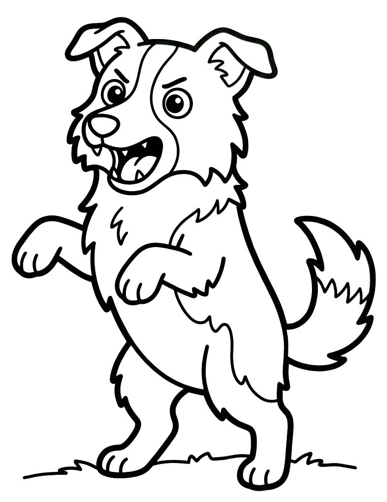 Zeichne Border Collie druckbare schlicht