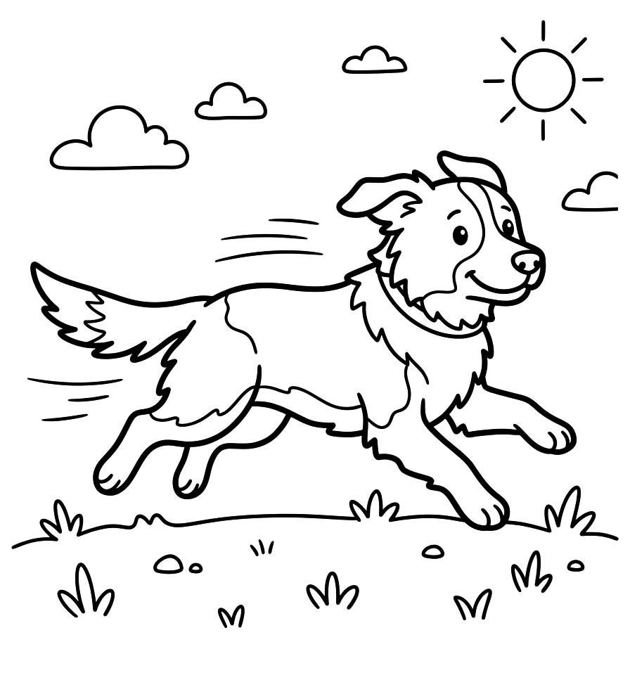 Zeichne Border Collie einfach