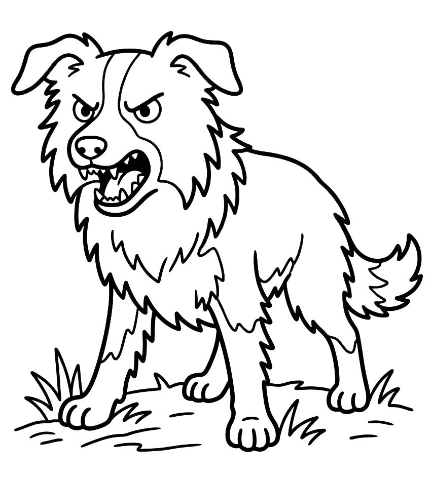 Zeichne Border Collie kostenlos druckbare schlicht