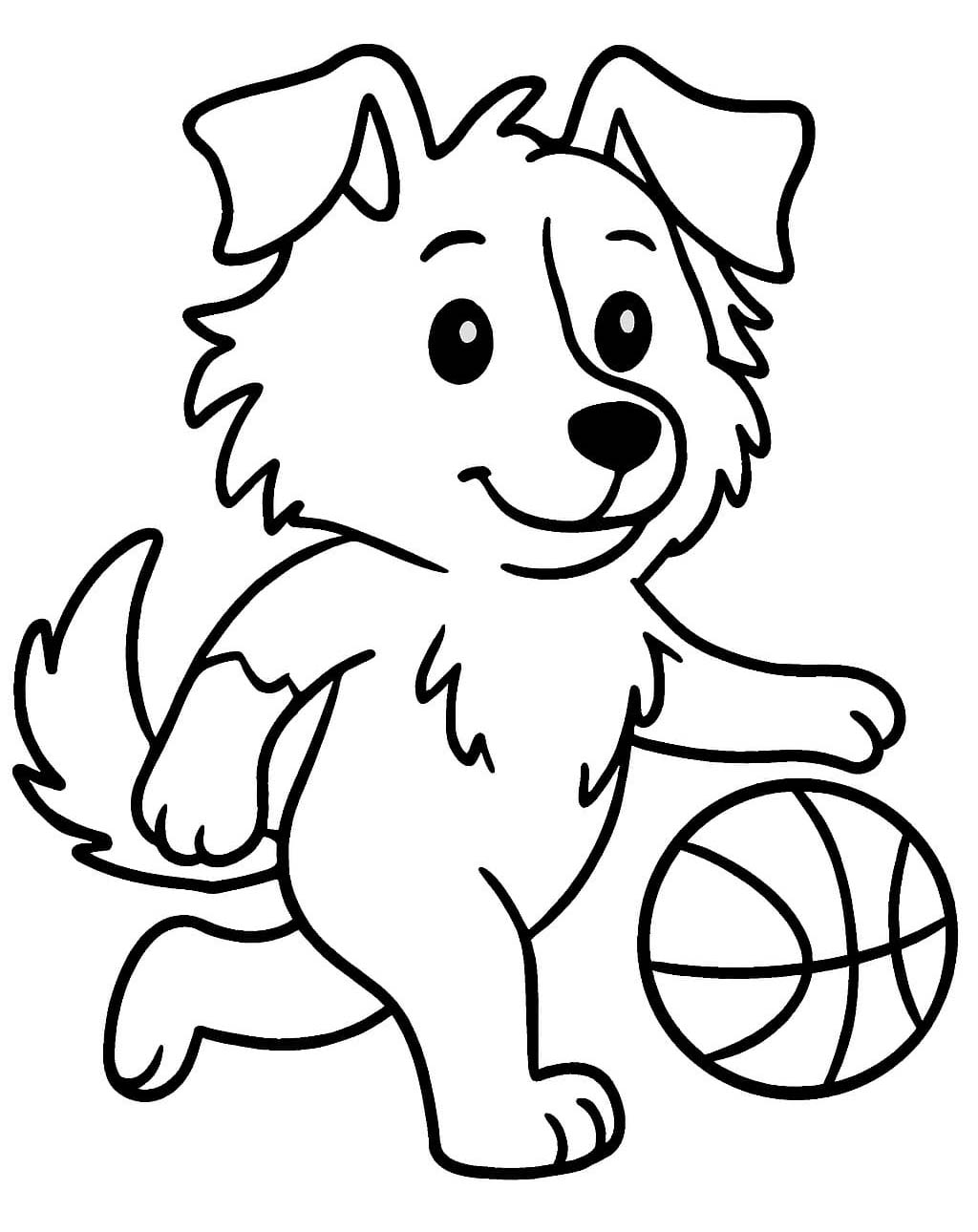 Zeichne Border Collie zum Ausdrucken