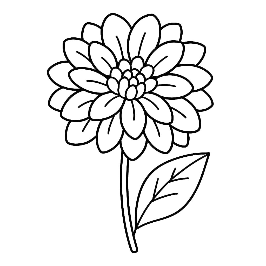 Zeichne Dahlie druckbare coloring page