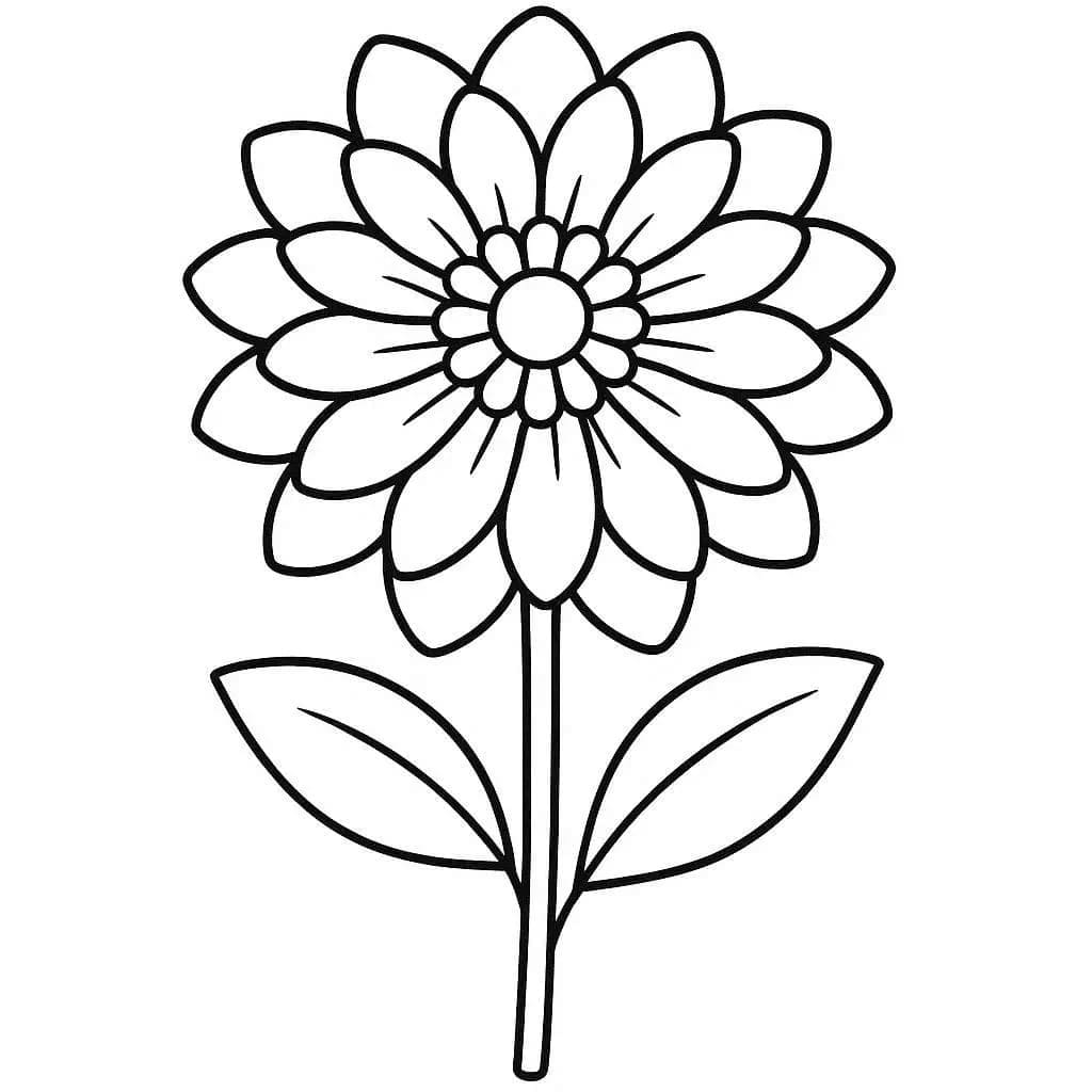Zeichne Dahlie druckbare für Kinder coloring page