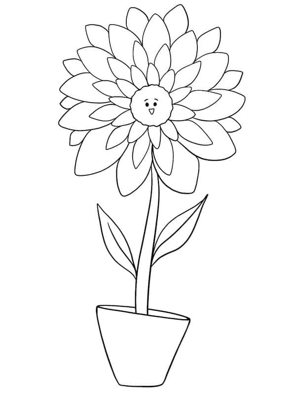 Zeichne Dahlie einfach coloring page