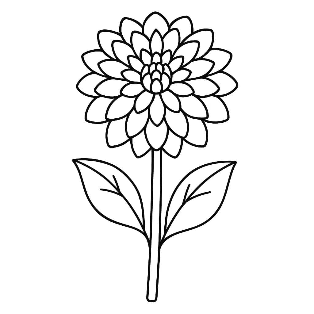 Zeichne Dahlie kostenlos coloring page