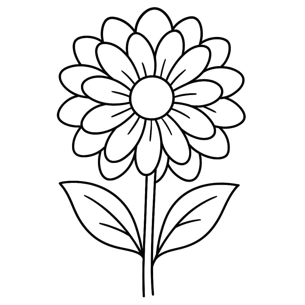 Zeichne Dahlie kostenlos druckbare coloring page