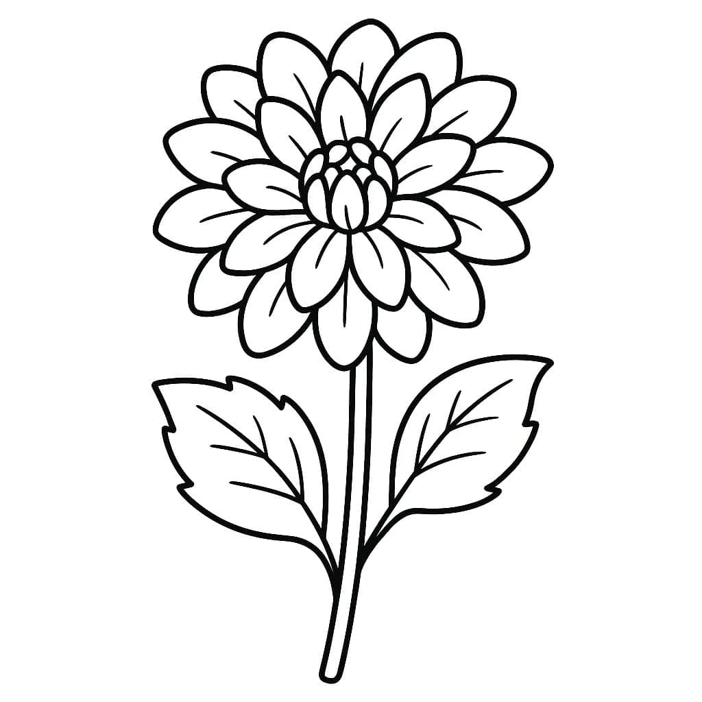 Zeichne Dahlie kostenlos druckbare einfach coloring page