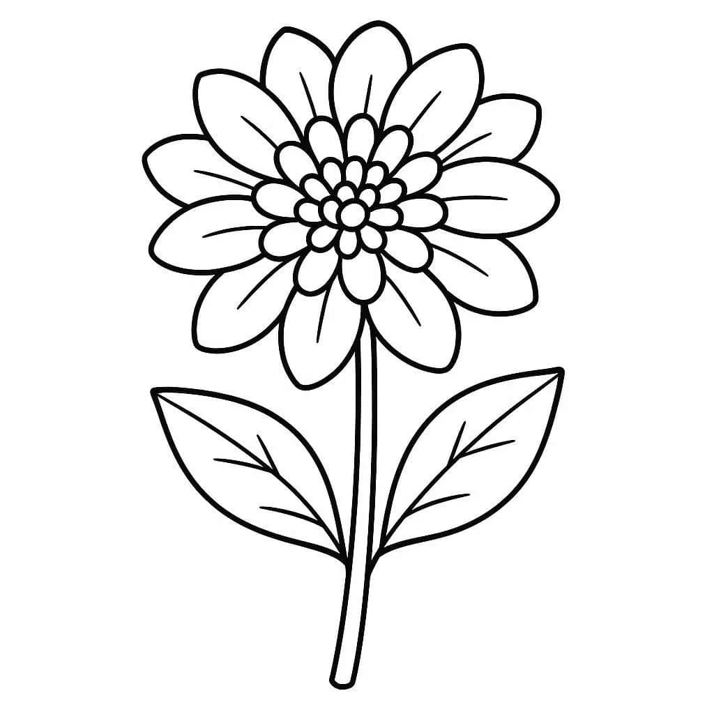 Zeichne Dahlie kostenlos einfach coloring page
