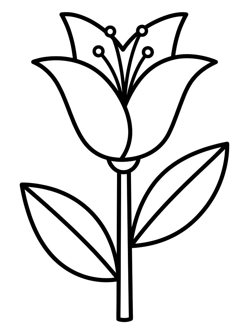 Zeichne Lilien