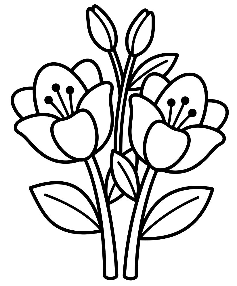 Zeichne Lilien basisch
