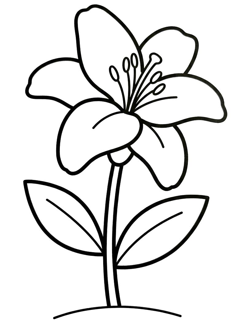 Zeichne Lilien druckbare