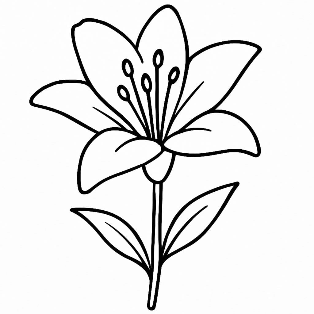 Zeichne Lilien druckbare basisch