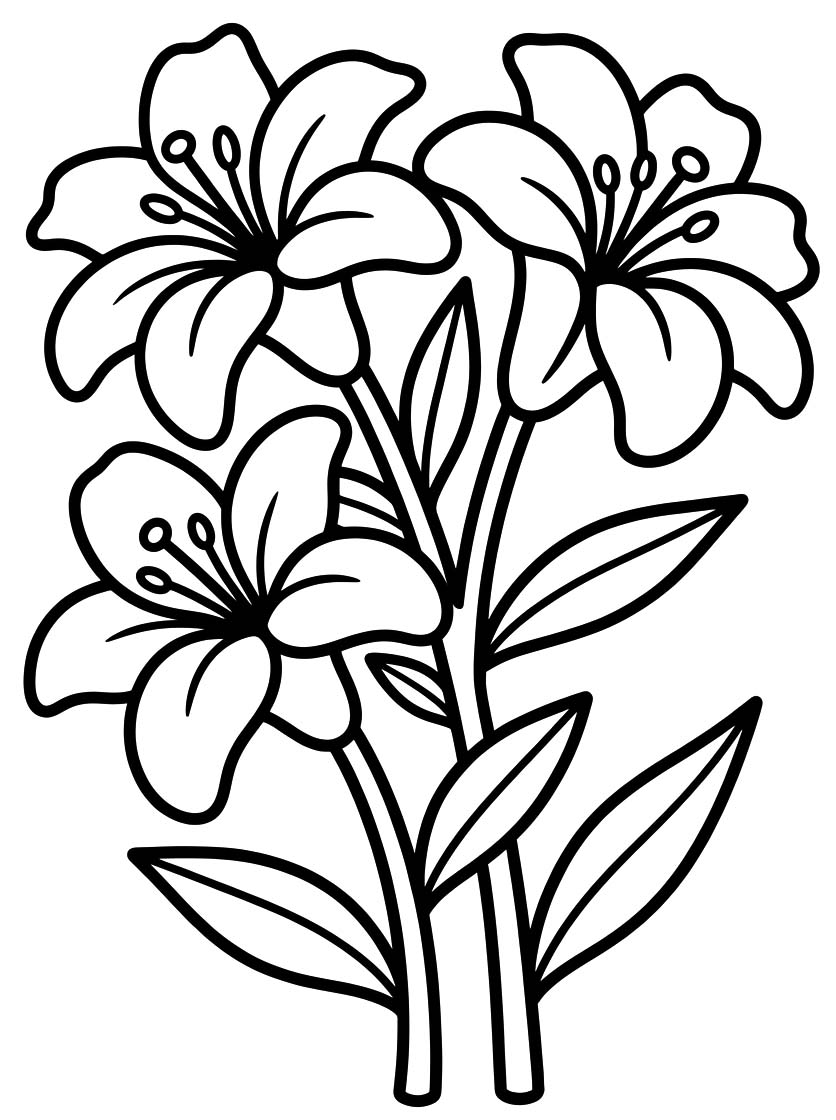 Zeichne Lilien druckbare für Kinder