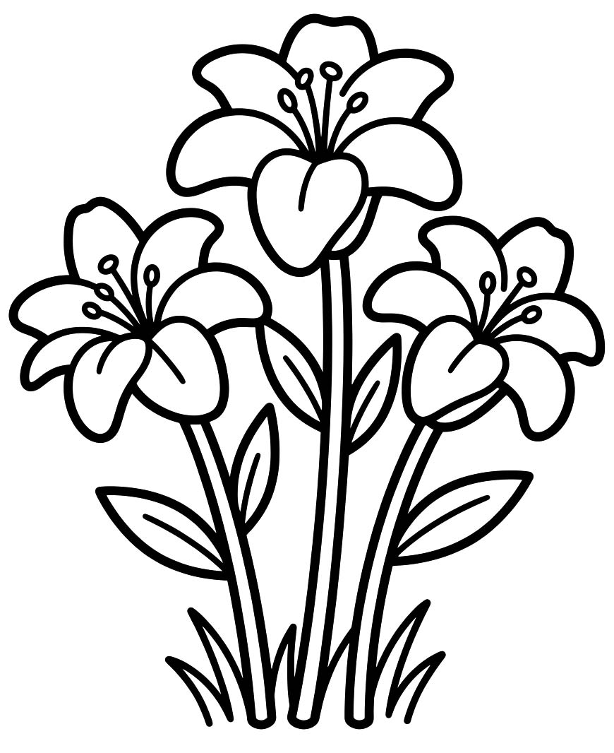 Zeichne Lilien einfach