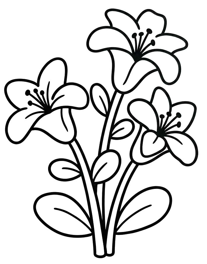 Lilien ausmalbilder