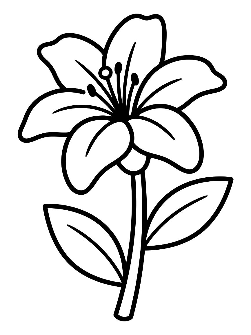 Zeichne Lilien kostenlos