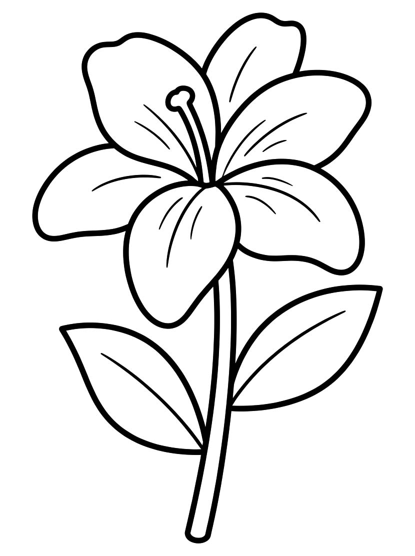 Zeichne Lilien kostenlos druckbare
