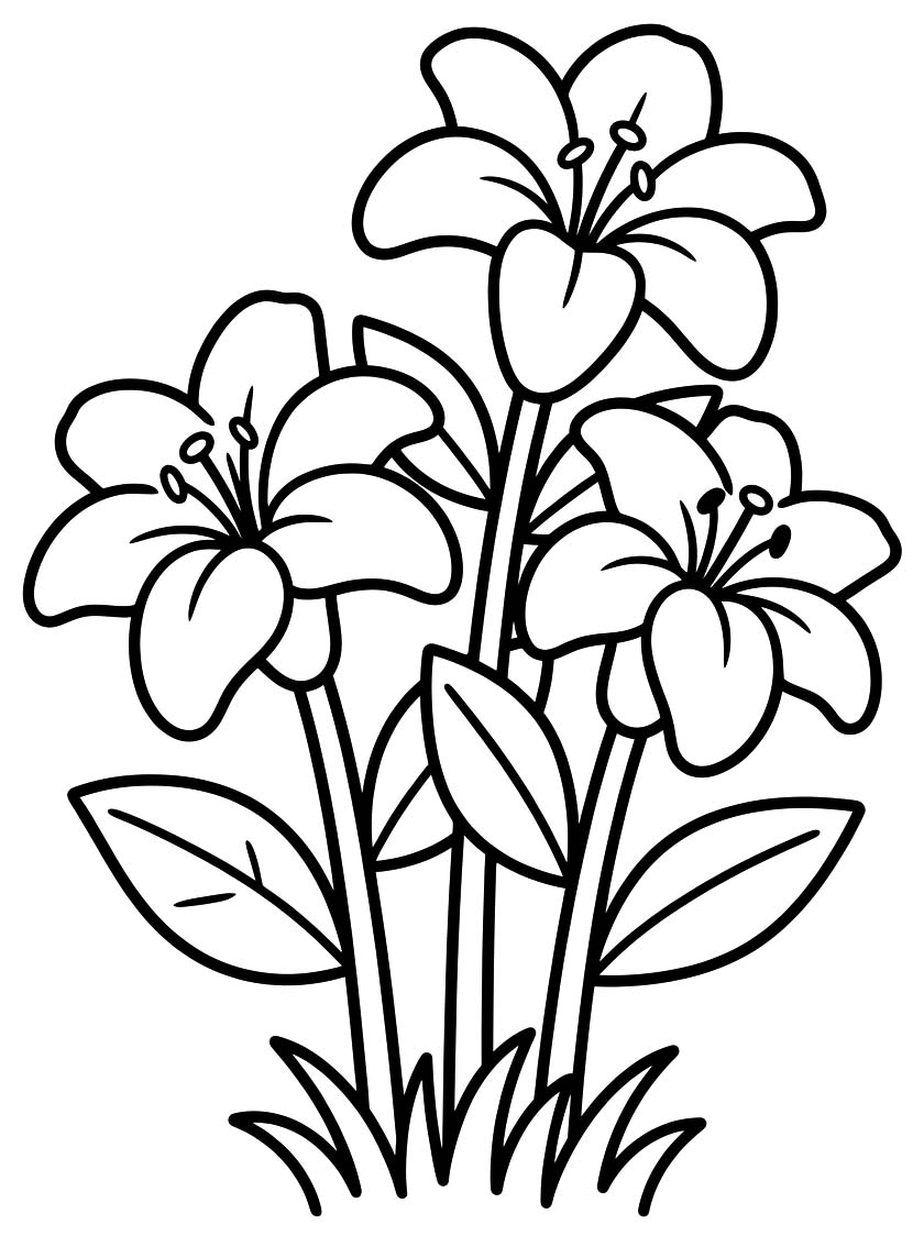 Zeichne Lilien kostenlos für Kinder